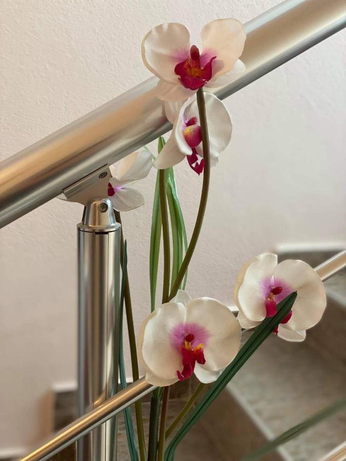 Guest House Kostovi คีตาน ภายนอก รูปภาพ